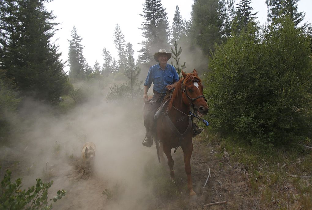 Range Rider Bill Johnson rides through rough terrain as he monitors an area that showed heavy wolf traffic earlier in the morning using GPS tracking data of collared wolves provided by the Department of Fish and Wildlife. (Sy Bean / The Seattle Times)