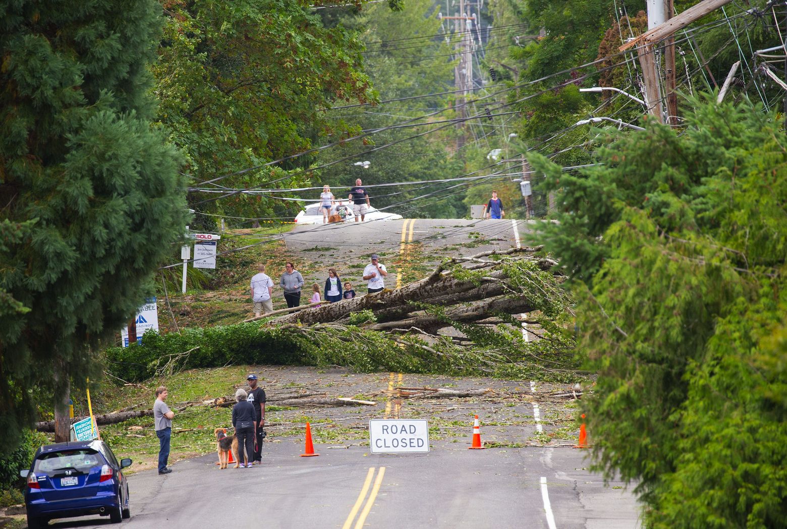 In Lake Forest Park, neighbors along Northeast 195th Street near 32nd Avenue Northeast look at a downed tree blocking the roadway. (Mike Siegel / The Seattle Times)