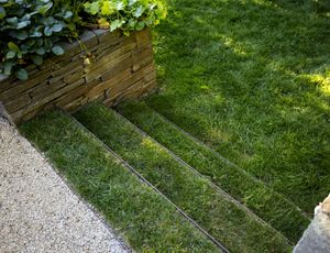 Clean-edged design in the garden includes grass-carpeted steps meeting up with dry-stacked stone walls and gravel terracing. (Mike Siegel/The Seattle Times)