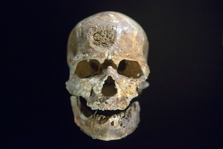 The 28000 years old skull of an Homo Sapiens called “Cro Magnon, The Old Man”, found in Dordogne, France, is displayed during a press visit at the Museum of Mankind (Musee de l’Homme) in Paris, France, Wednesday, Oct. (Musee de l’Homme) in Paris, France, Wednesday, Oct. 14, 2015. Among the thousands of objects and artifacts include the skull of Neanderthal man and of a French philosopher Rene Descartes, the museum, dedicated to anthropology, ethnology and prehistory of human evolution, will open to the public this weekend after six years of renovation. (AP Photo/Francois Mori)