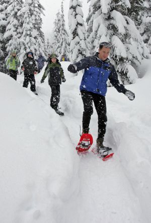 Snowshoers tour the forest at Snoqualmie Pass on a ranger-led hike in 2011. (Ellen M. (Ellen M. Banner/The Seattle Times)