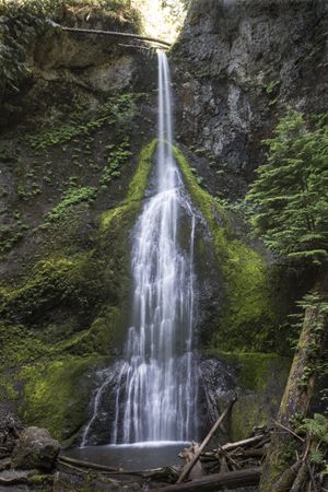 The beautiful, wispy Marymere Falls is reached via a .9-mile trail from Storm King Ranger Station, at the edge of Lake Crescent in Olympic National Park. (Steve Ringman/The Seattle Times)