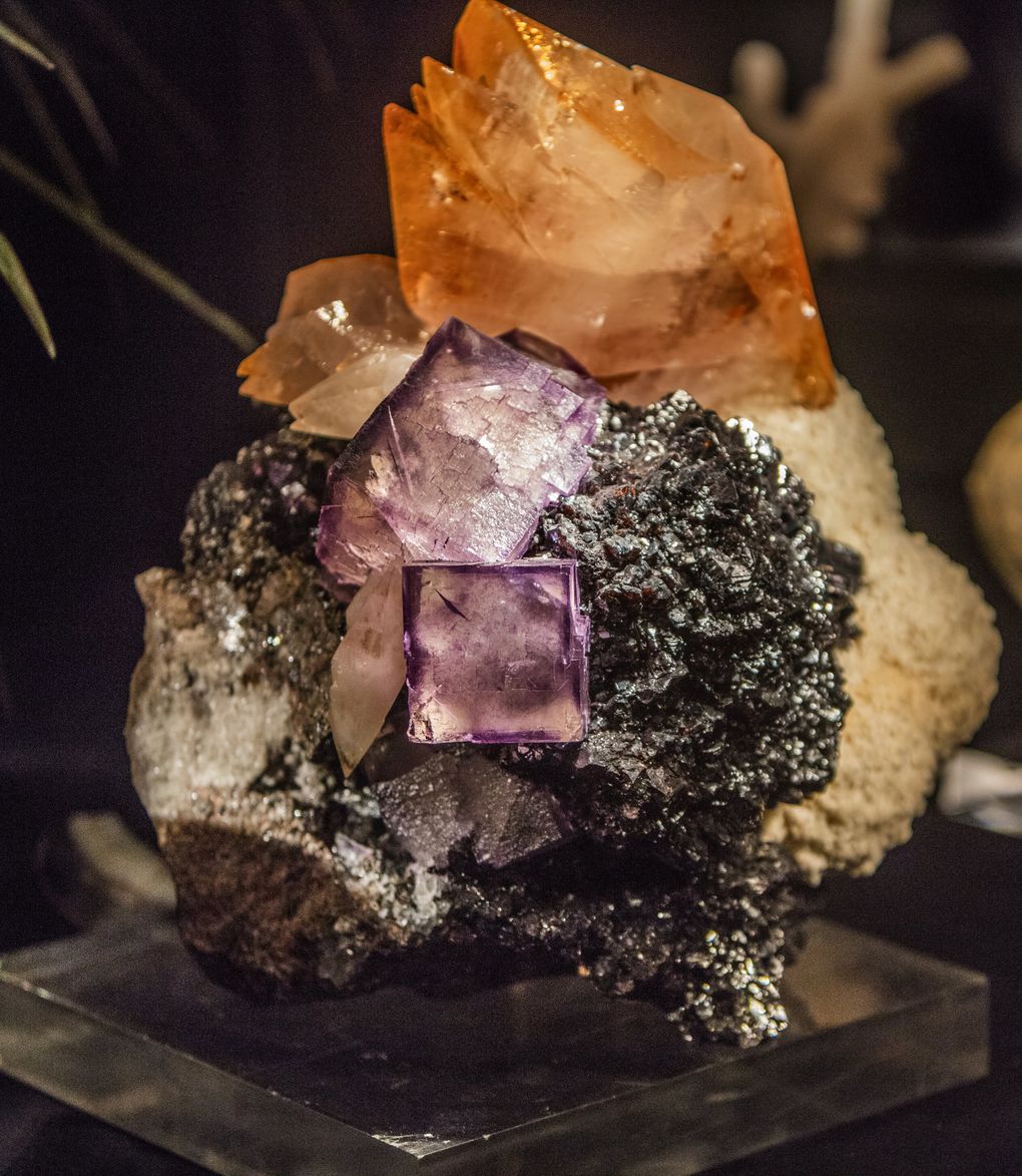 An amalgamation of golden calcite, violet fluorite crystals, dark-colored sphalerite and white barite, discovered 1,800 feet underground in an industrial zinc mine in Tennessee. (Steve Ringman / The Seattle Times)