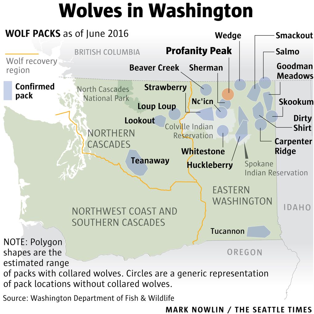 Washington Department of Fish & Wildlife authorized fieldstaff to kill the Profanity Peak wolf pack to prevent more attacks on cattle in the rangelands between Republic and Kettle Falls.