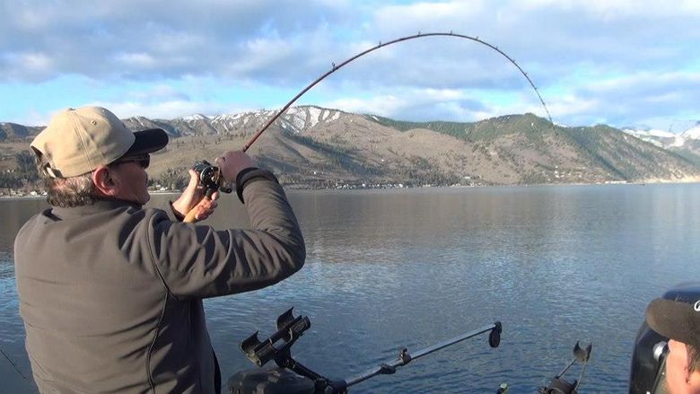 Sprague Lake filled with feisty rainbow trout for good fall fishing action - The Seattle Times