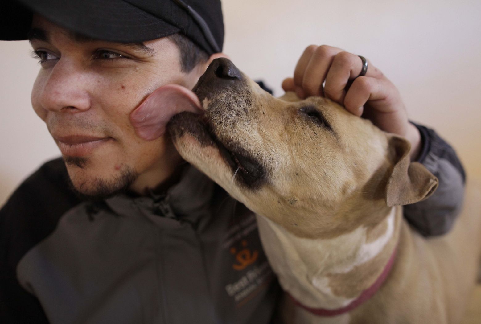 Your dog’s mouth is nasty, say scientists, so kiss him at your own peril