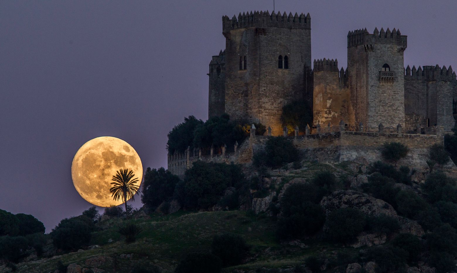 The moon rises behind the castle of Almodovar in Cordoba, southern Spain, on Sunday, Nov. (AP Photo/Miguel Morenatti)