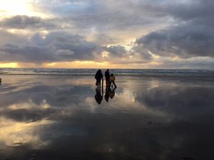 Two coastal beaches approved for razor clam digging, but cancelled at Twin Harbors