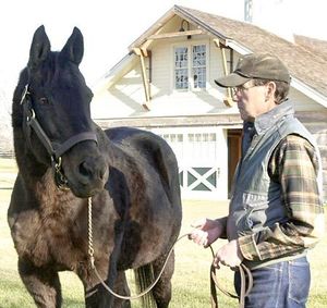  Seattle  Slew  s status is intact The Seattle  Times