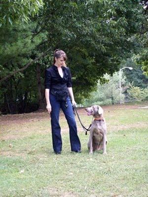 leash dog manners walk weimaraner fido ease help stilwell victoria spoil pulls training works nice than
