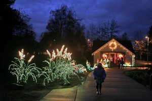 Bellevue Botanical Garden Will Be Alight For Garden D Lights The