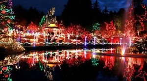 Northwest Zoos Parks And Gardens Light Up The Seattle Times