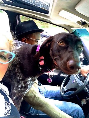 Doggone cute: Pet selfies contest winners 2015 | The ...