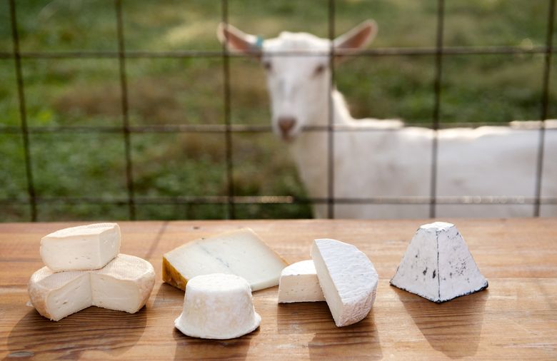 Image result for goat cheese