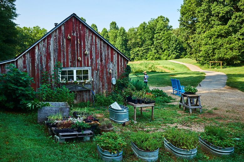 A widow takes the helm at legendary Blackberry Farm The 