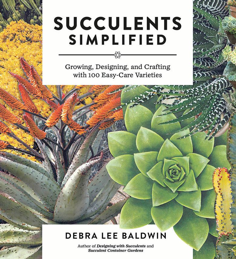 Designing With Succulents