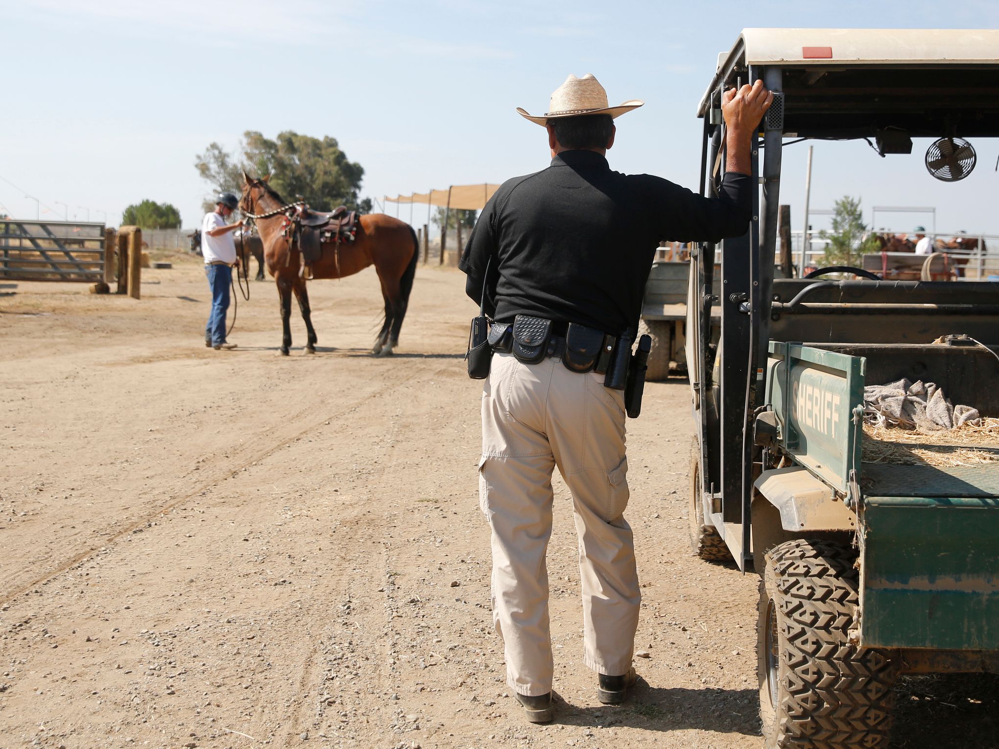 ‘They’re a lot like us’ Program pairs inmates, wild horses The
