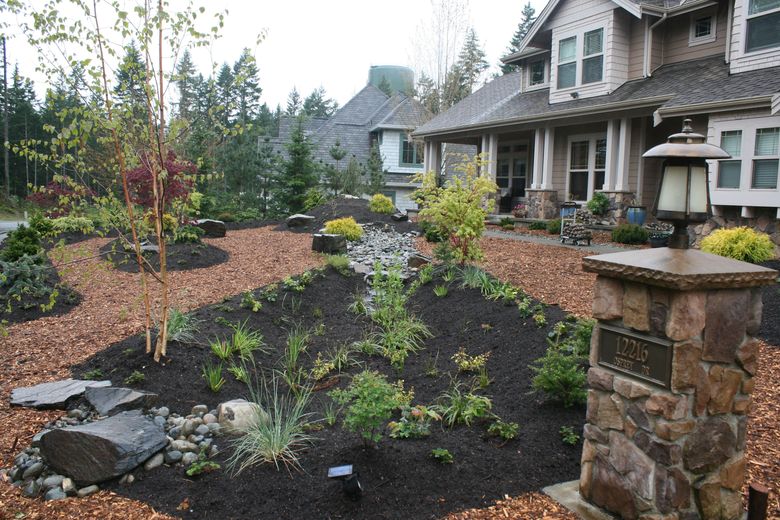 Building a rain garden is a creative way to keep pollution 