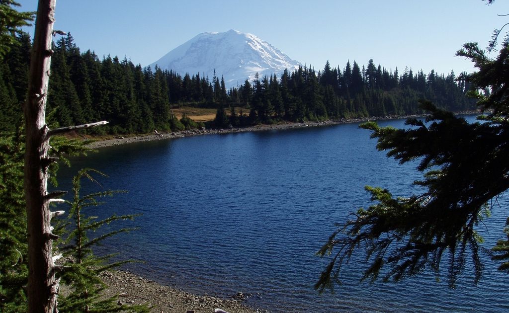 Why you still can’t swim in — or even touch — Summit Lake in Thurston County