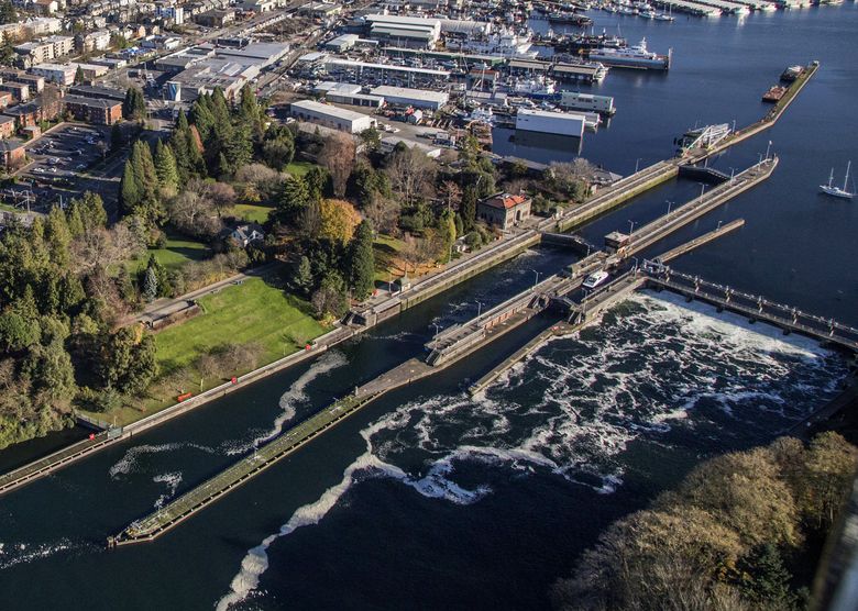 Ballard Locks of Seattle
