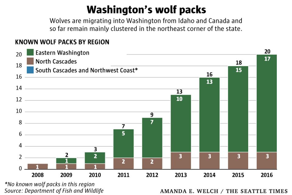 Click or swipe on the right to view Washington’s wolf population over time.