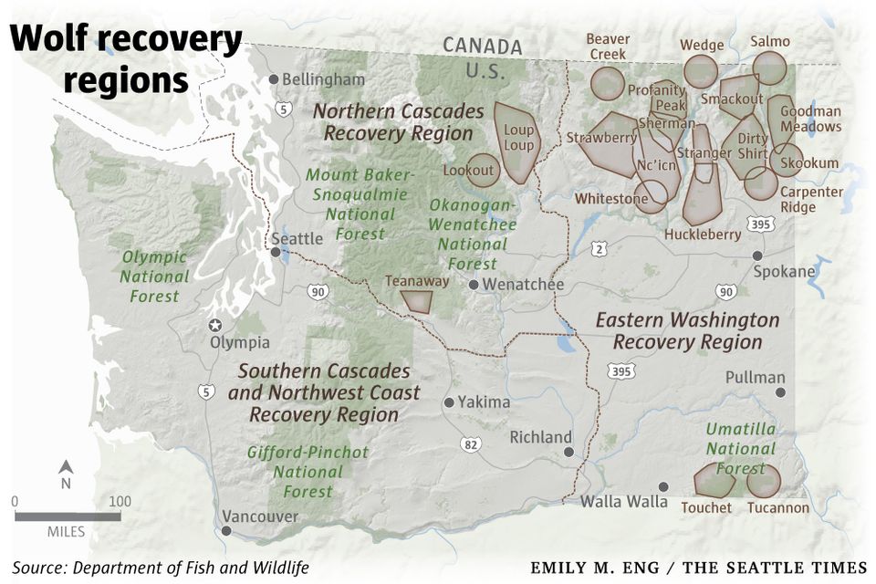Click or swipe on the right to view a detailed map of Colville National Forest area wolf packs.