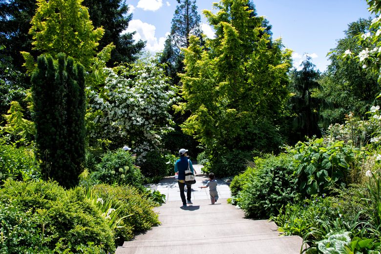 Bellevue Botanical Garden Celebrates 25 Years Of Amazing Plants