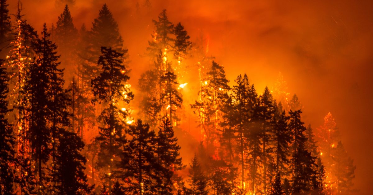 Here Are The Largest Wildfires In Washington State Oregon The