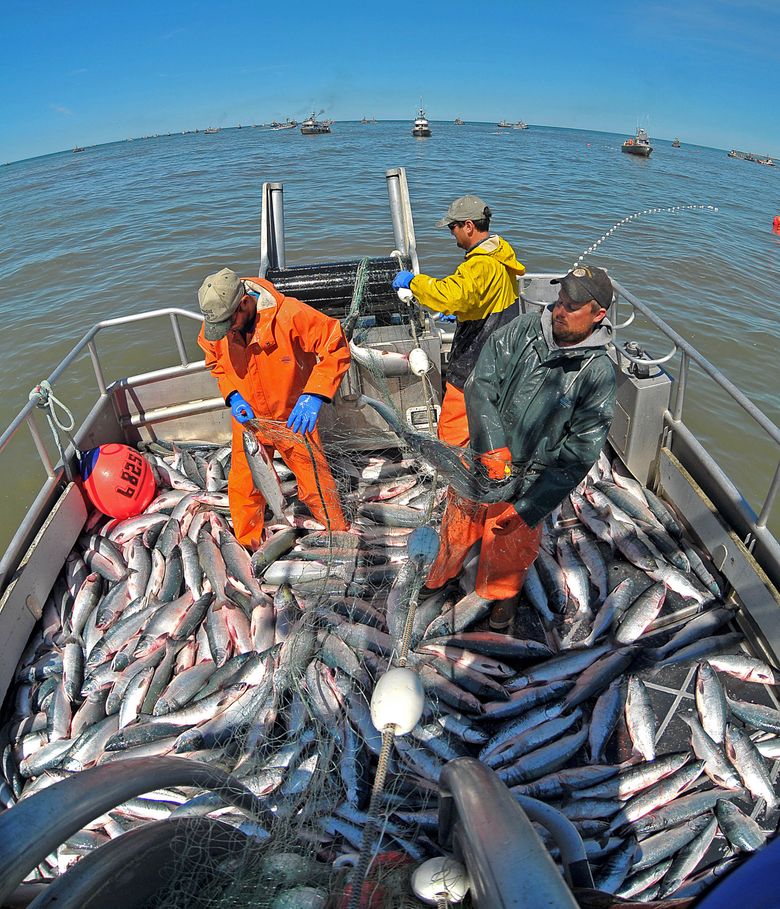 Don’t gut nation’s pre-eminent ocean-fisheries law | The ...