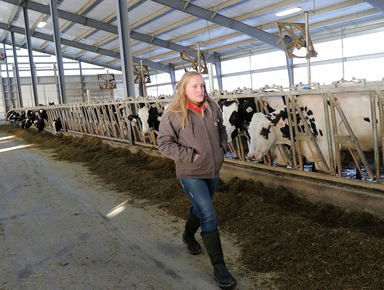 More women entering dairy industry in Wisconsin | The Seattle Times