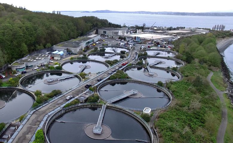West Point disaster sent raw sewage into Puget Sound. Surprisingly, the water quality was barely affected | The Seattle Times