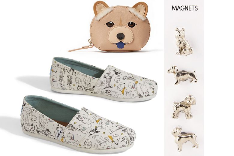 toms dog shoes