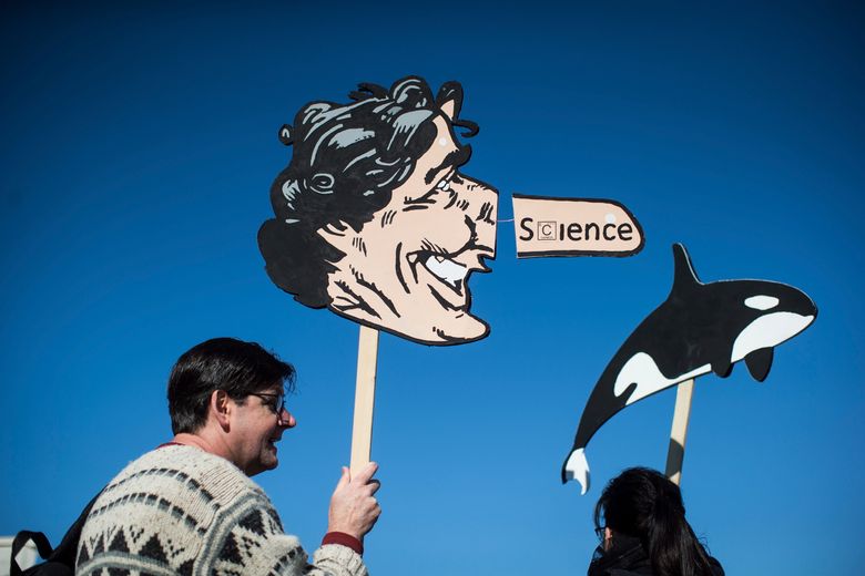 Scott McBride holds a caricature of Prime Minister Justin Trudeau during a protest against the Kinder Morgan Trans Mountain pipeline expansion in Burnaby, British Columbia, Canada, on Saturday March 10, 2018.  Indigenous people and environmental activists are vowing to block a $7.4 billion pipeline expansion that would pump oil from Canada’s tar sands to the Pacific Coast. Thousands are expected to rally on Saturday, kicking of a series of mass actions. (Darryl Dyc /The Canadian Press via AP)