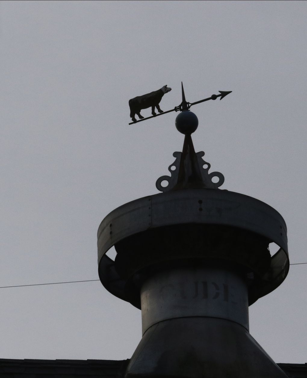 An old weather vane atop a barn at Nick Pate’s Raising Cane Ranch points toward grassy fields in the Snohomish River Valley. (Alan Berner/The Seattle Times)