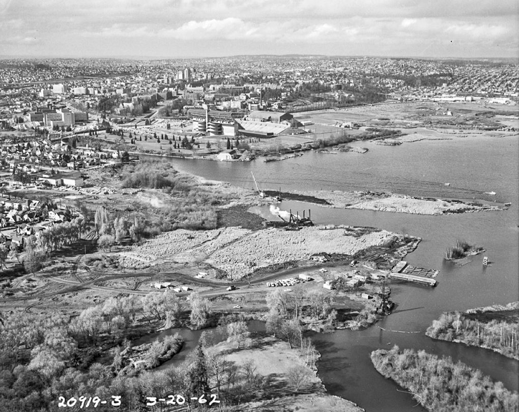 The footprint of the Union Bay area, before the first bridge was built in 1963. The Arboretum is in the foreground. (Courtesy Seattle Municipal Archives, item 70336)