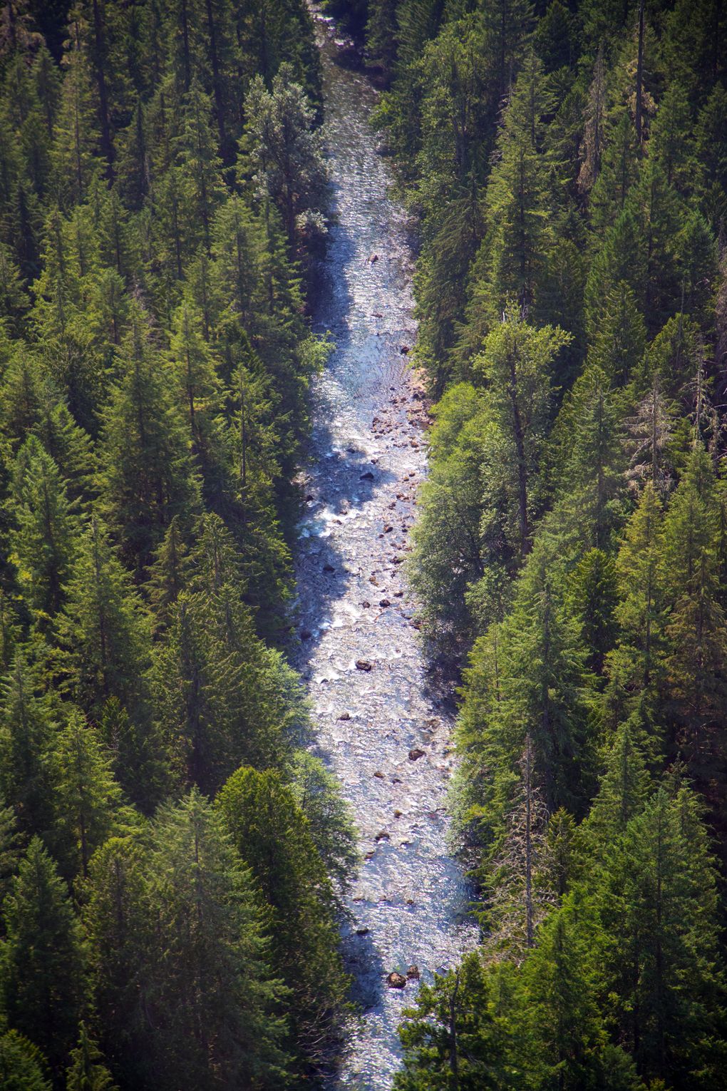 The headwaters of the Skagit River in British Columbia feed one of Washington’s most productive rivers for salmon. Conservationists fear recent logging in the area will open the door to mining down the road. Members of an international commission, created in 1984, see resource extraction here as a violation of the spirit of a treaty between the U.S. and Canada. (Mike Siegel/The Seattle Times)