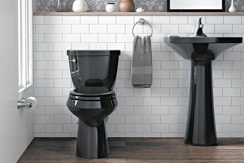The Black Toilet An Unconventional Bathroom Accessory