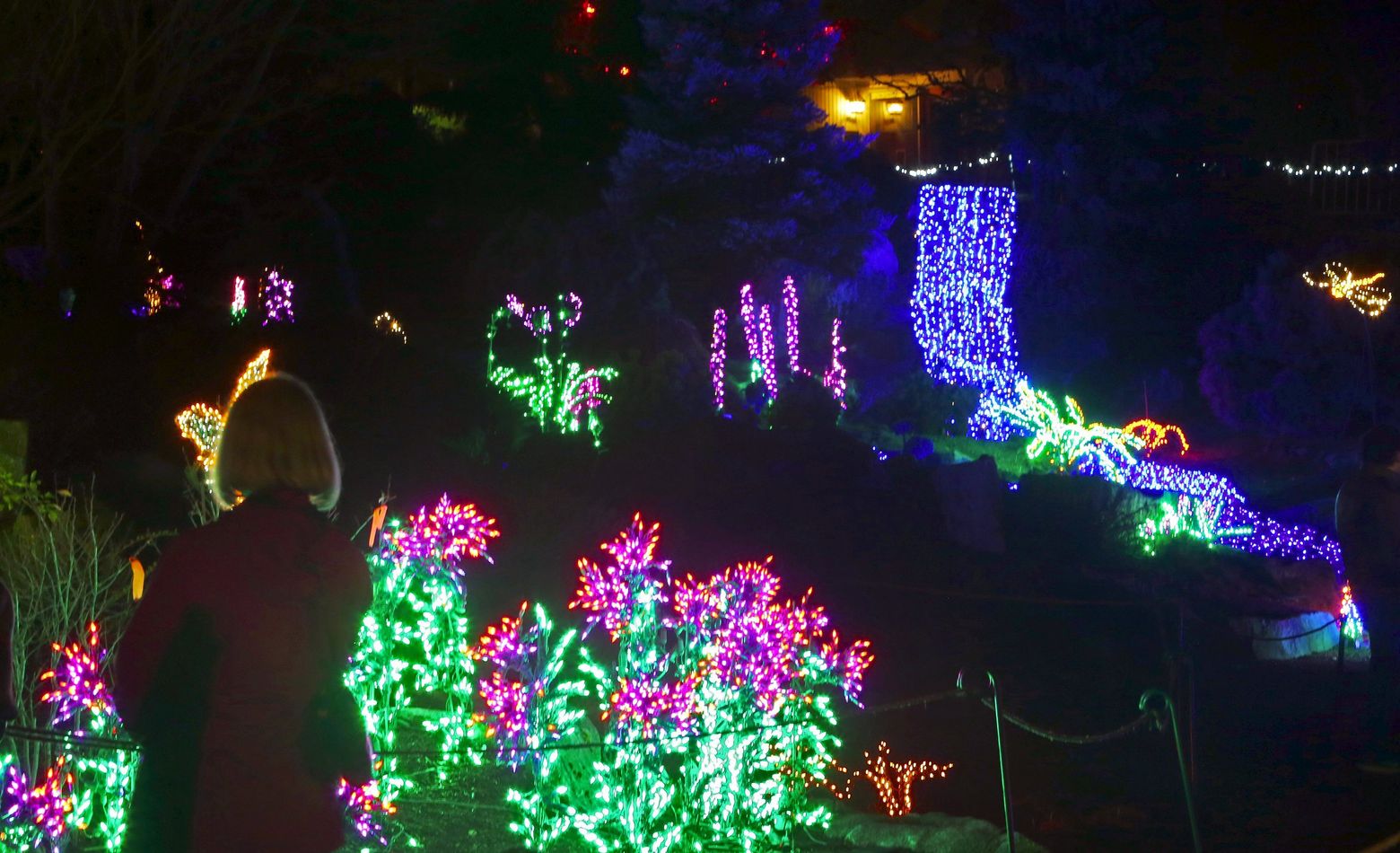 All Is Bright On The Eastside With Garden D Lights In Bellevue