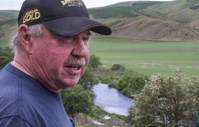 Wall Street seeks a valuable resource from Washington state's aging farmers: their water - Seattle Times