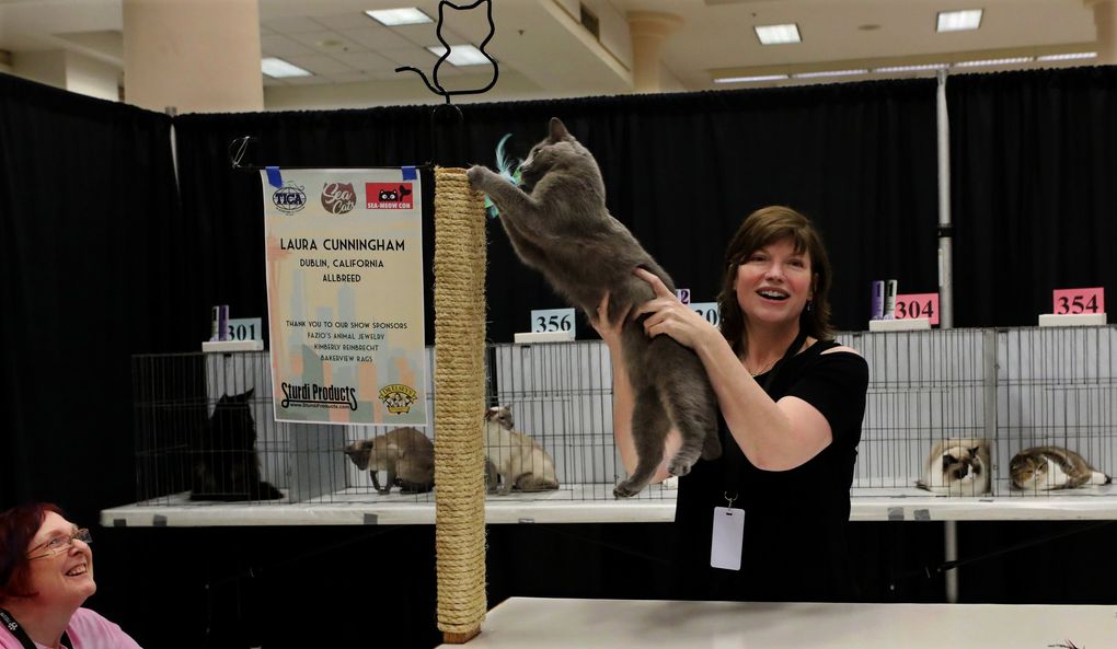 Cats and cat lovers convene at Seattle Center The Seattle Times
