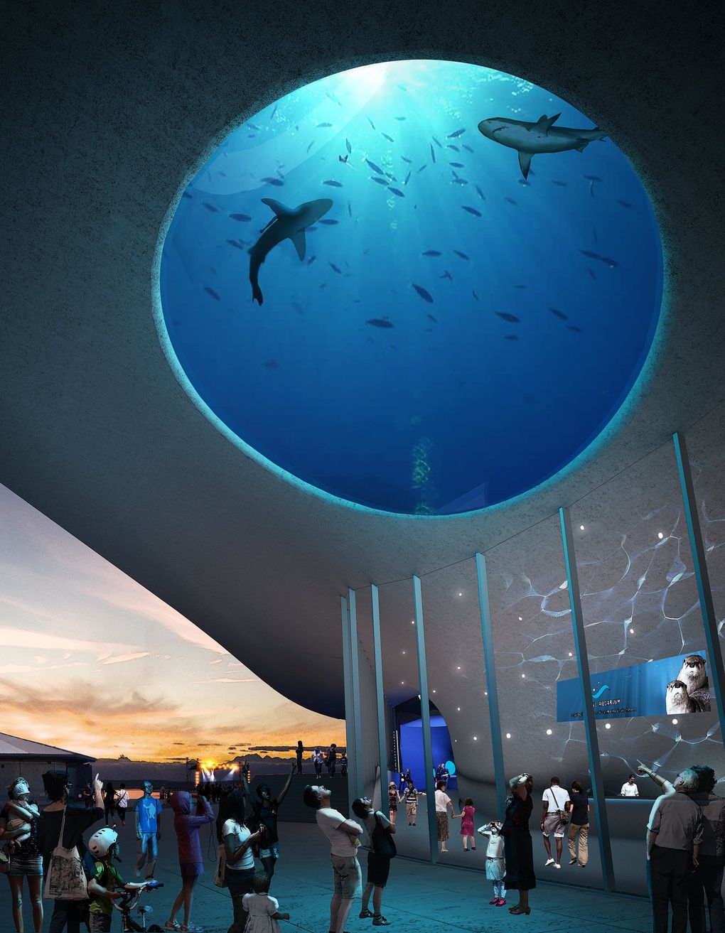  Seattle Aquarium  plans 113 million pavilion with sharks 