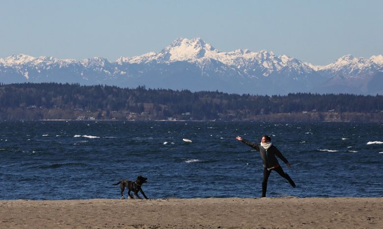 At Seattle S Golden Gardens Park Fun In The Sun For A Change