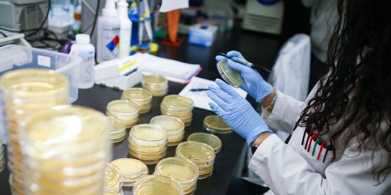 A researcher works in a lab that is developing testing for the COVID-19 coronavirus in Nutley, New Jersey, on Feb. 28, 2020. (Kena Betancur / Getty Images)