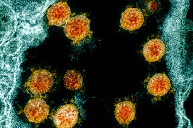 Coronavirus more dangerous for current and former cancer patients, new studies find