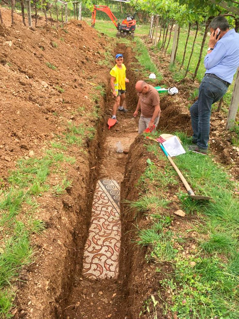 Well-preserved Roman mosaic unearthed in Italian vineyard | The Seattle