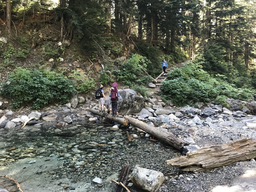 Denny Creek is a kid-friendly, easily extendable hike through old-growth forest.  (Megan Burbank / The Seattle Times)