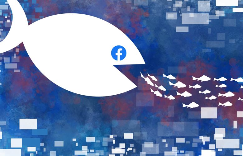 Understanding the landscape of Facebook’s dominance