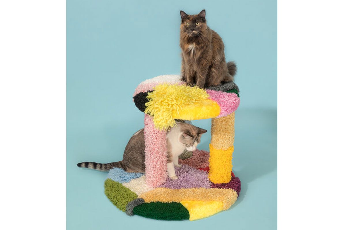 Colorful Scratching Posts