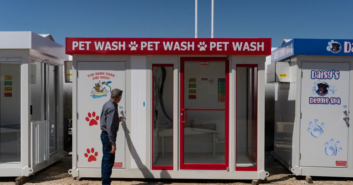 Global chip shortage may affect people who just want to wash their dogs