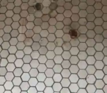 A reader’s vintage bathroom floor tile has rust stains. The easiest courses of action are to try to clean off the stains or, if that doesn’t work, replace the marred tiles. (Reader photo via The Washington Post)